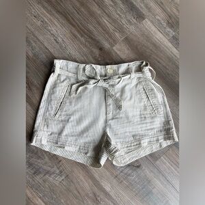 American Eagle Stripped Linen Shorts with Removable Belt